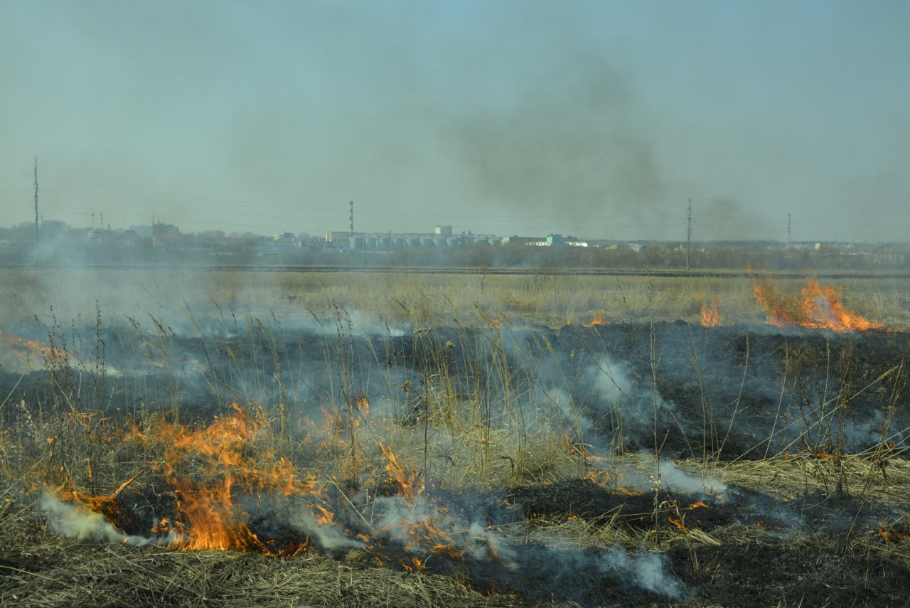 В Мордовии начался сезон горения сухой травы