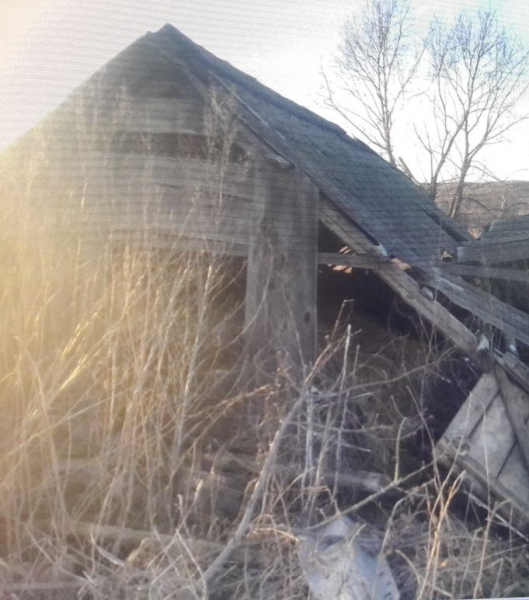 Житель Мордовии нашел в заброшенном сарае ружье 