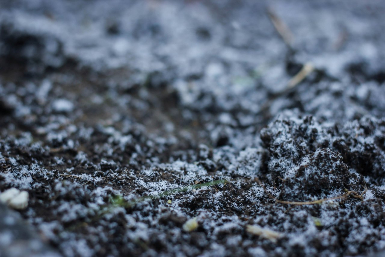 В Мордовии ожидаются ночные заморозки 