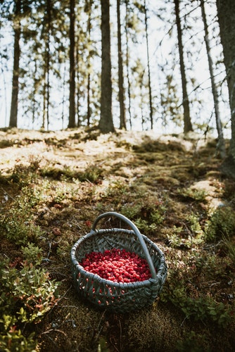 Что ждать жителям Саранска от погоды в понедельник?