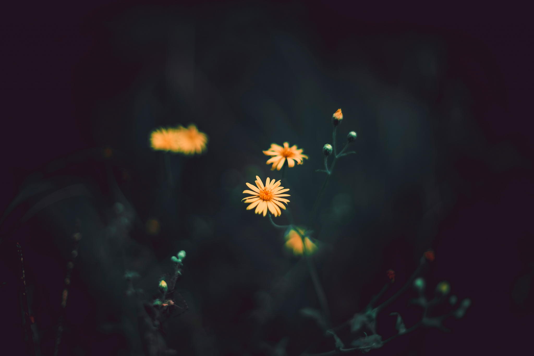 Что ждать жителям Саранска от погоды во вторник?