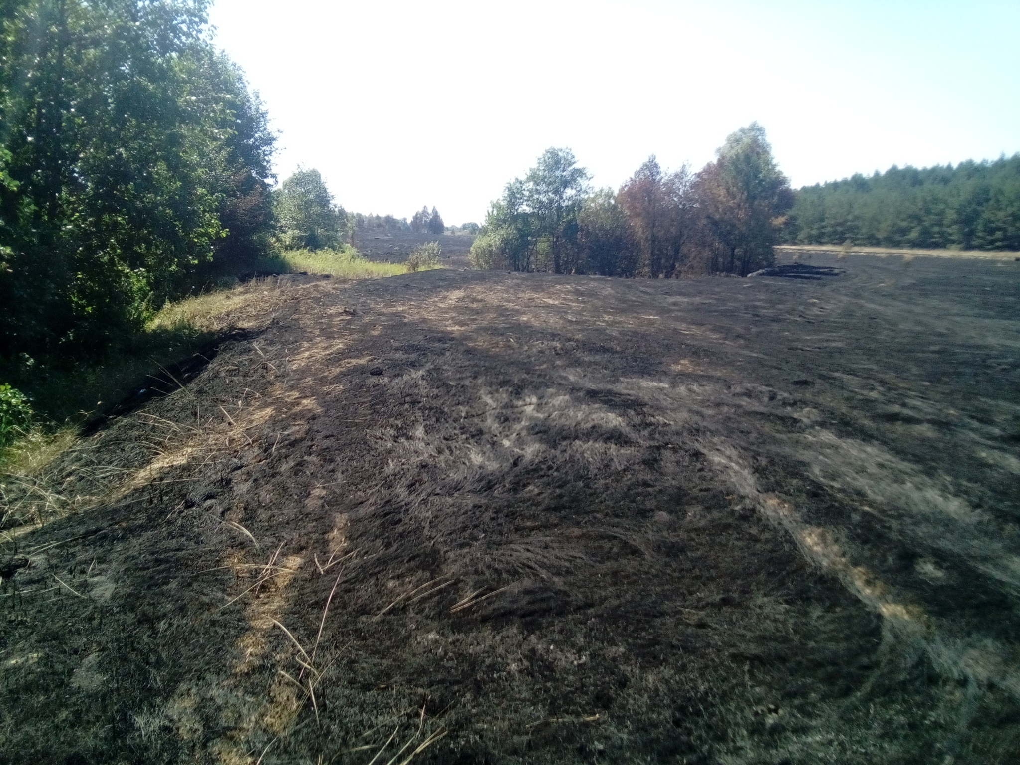 В Мордовии за три дня пожарные 56 раз тушили сухую траву и мусор