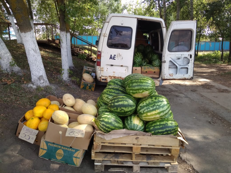 В Саранске нашли точки, где незаконно продавали арбузы и дыни