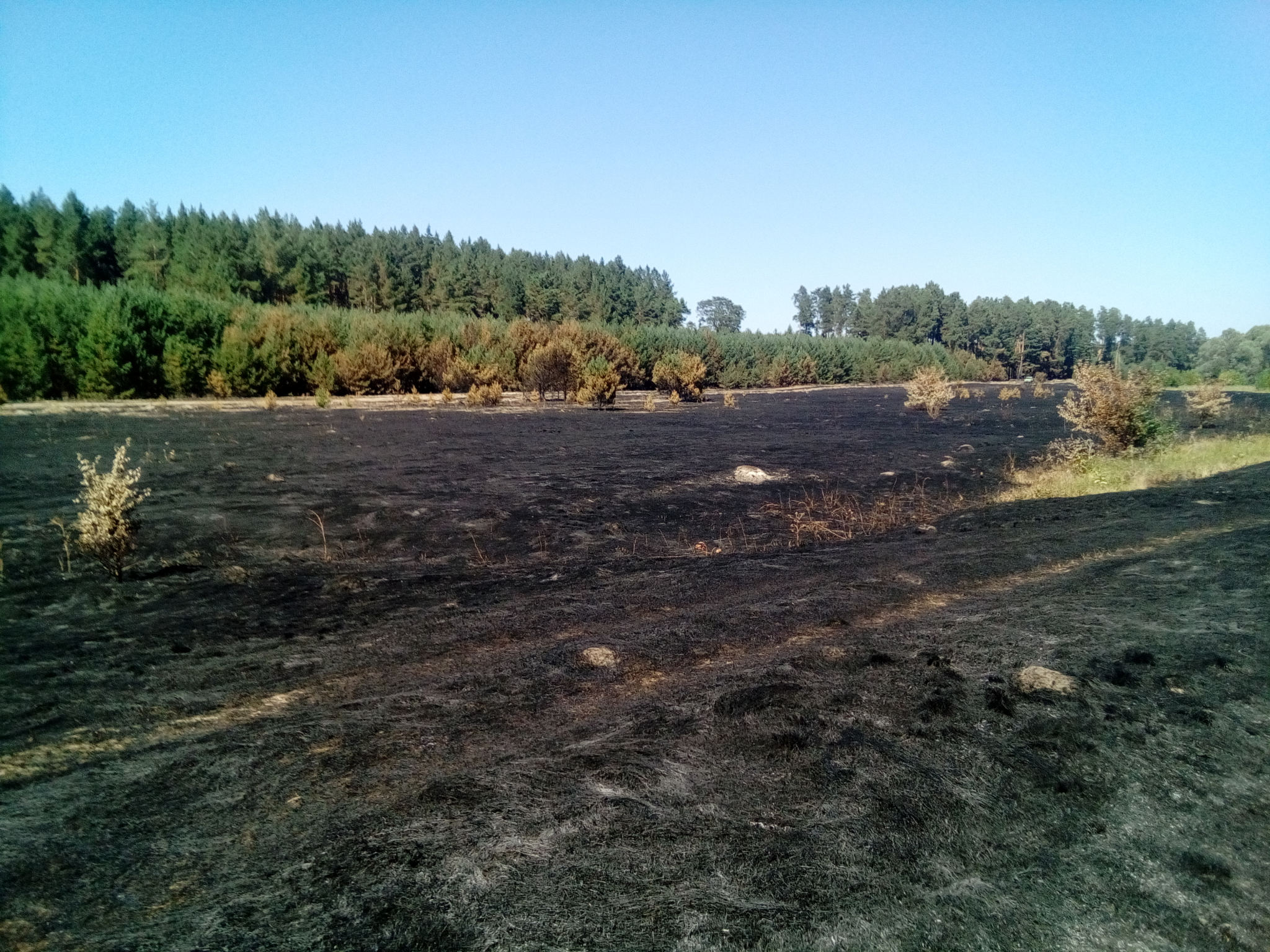 В Мордовии на выходных пожарные 35 раз тушили сухую траву и мусор