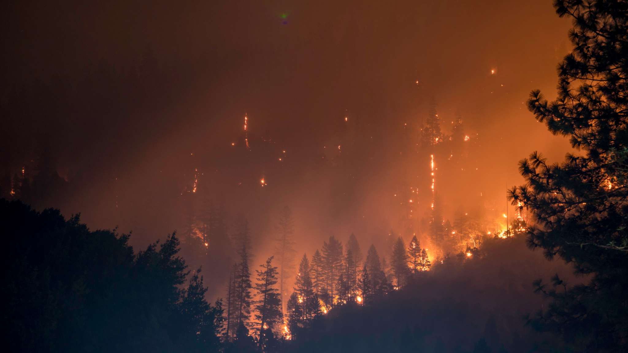 В Мордовии прогнозируется высокий уровень пожароопасности лесов
