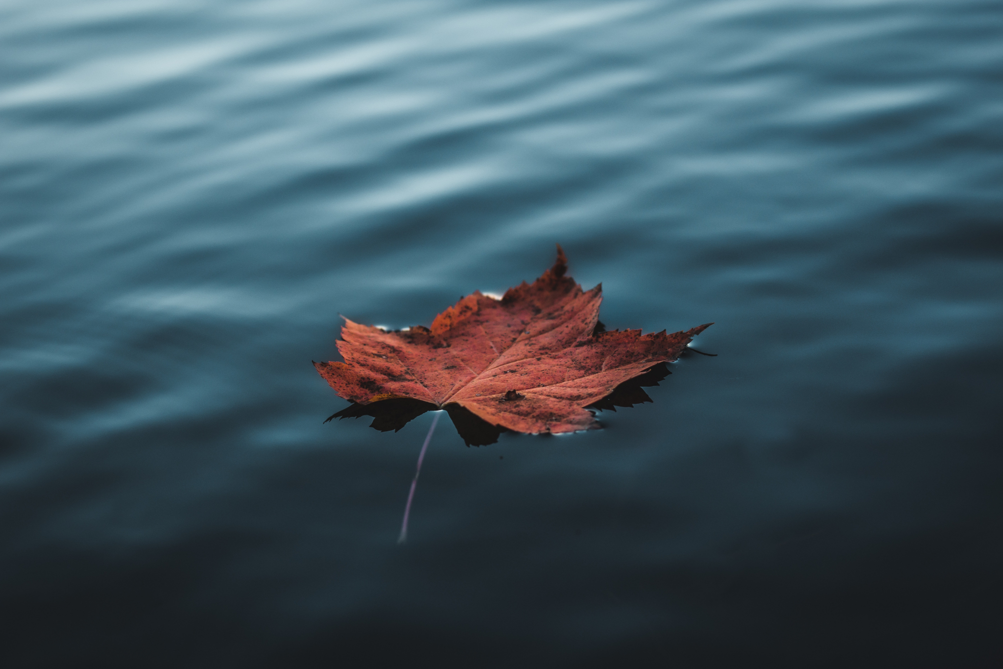 Что ждать жителям Саранска от погоды в понедельник?