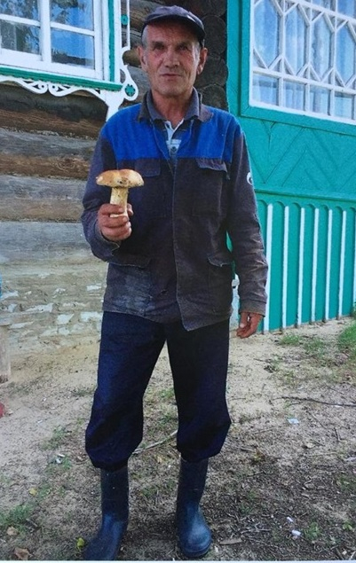 В Мордовии мужчина ушел за грибами и пропал