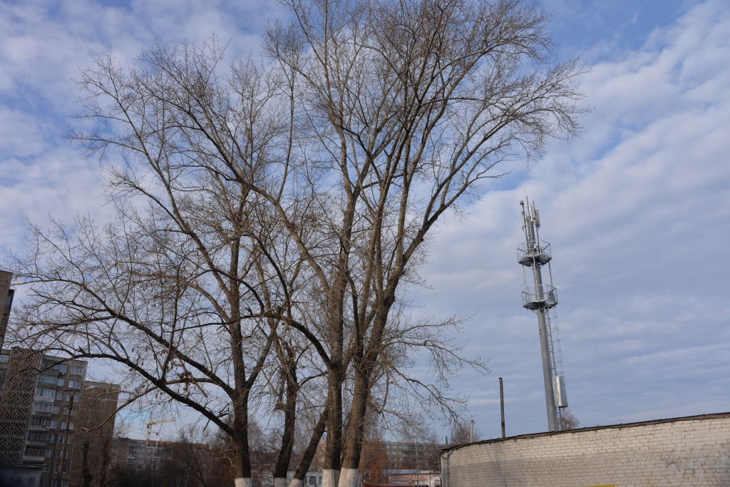 В Саранске жильцы четырех домов по проспекту 70 лет Октября жалуются на вышку сотовой связи