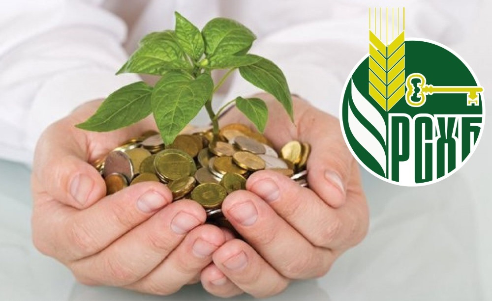 Россельхозбанк объявил финансовые результаты за 9 месяцев 2018 года по МСФО