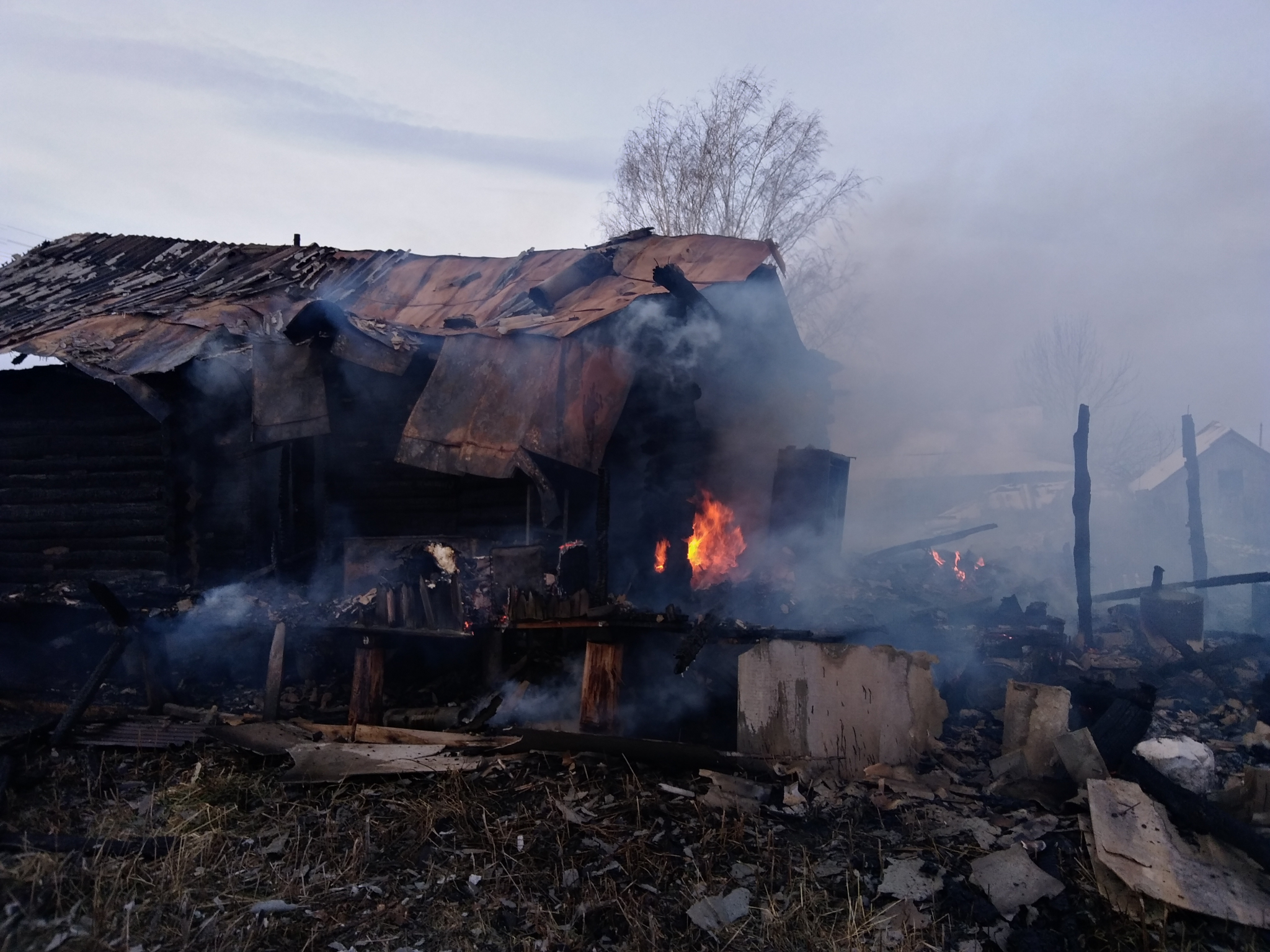 За выходные на пожарах в Мордовии погибли три человека (фото)
