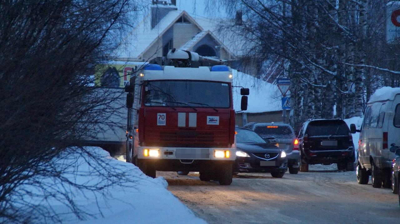 В Мордовии горел автомобиль: пострадал один человек