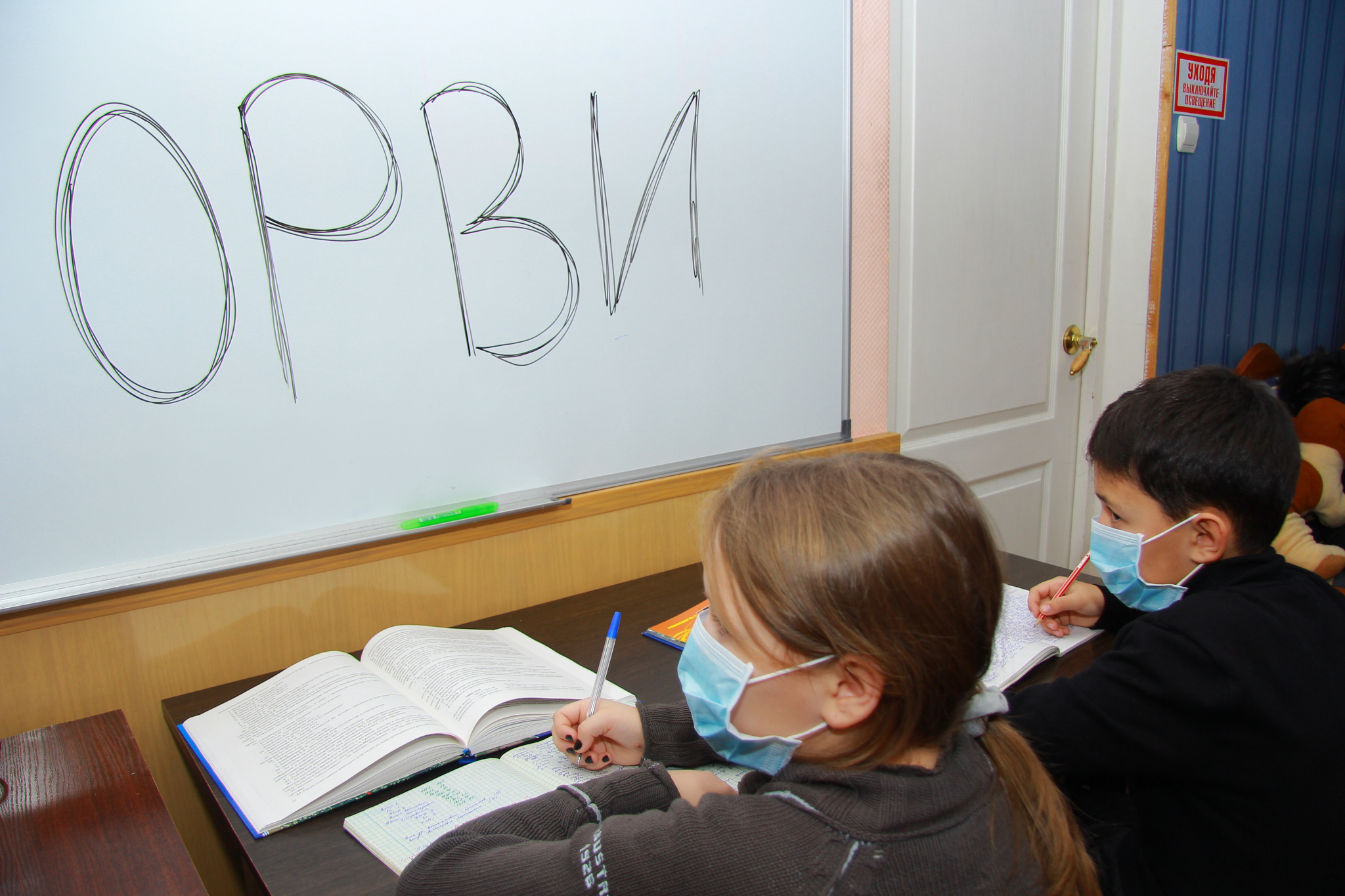 В Мордовии из-за эпидемии гриппа и ОРВИ закрываются школы