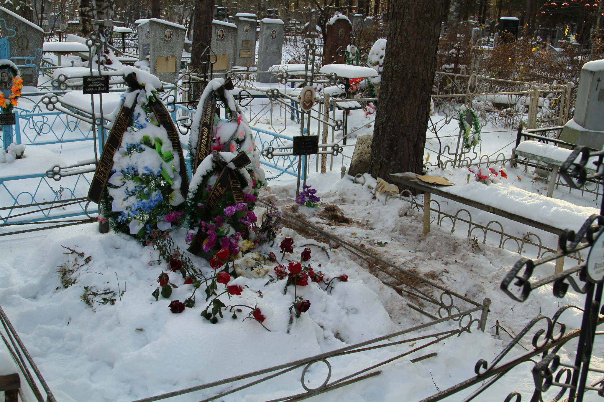 Юная жительница Саранска устроила танцы на могилах Мемориального кладбища