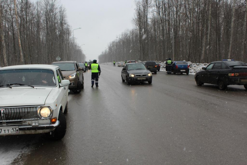В Мордовии поймали 20 нетрезвых водителей