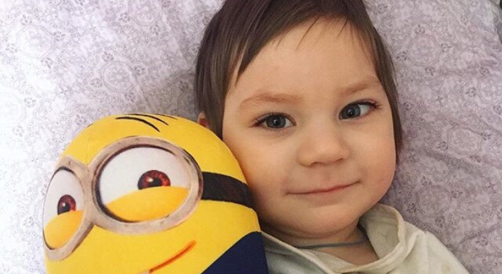 Жителей Саранска просят помочь «Лисенку»