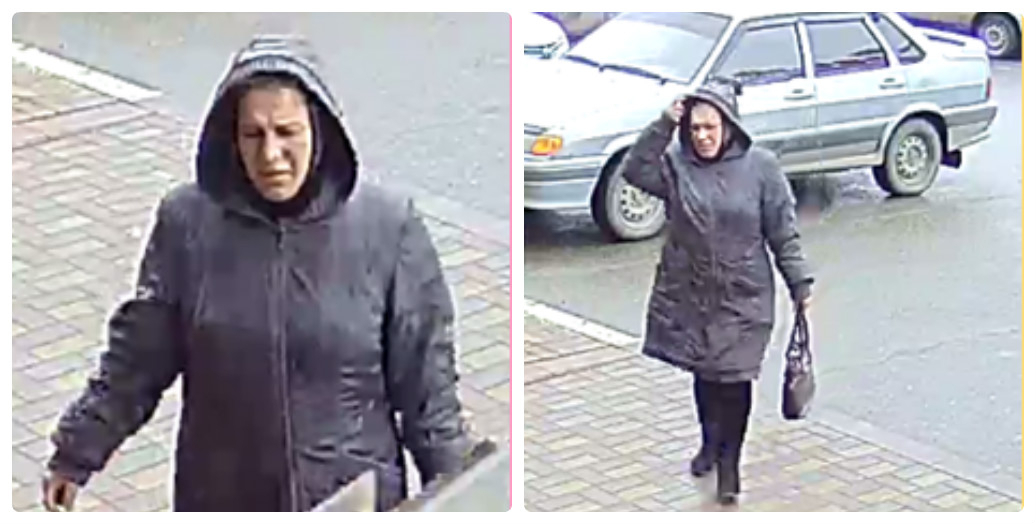 В Саранске полицейские ищут женщину, которая украла кошелек у пенсионерки