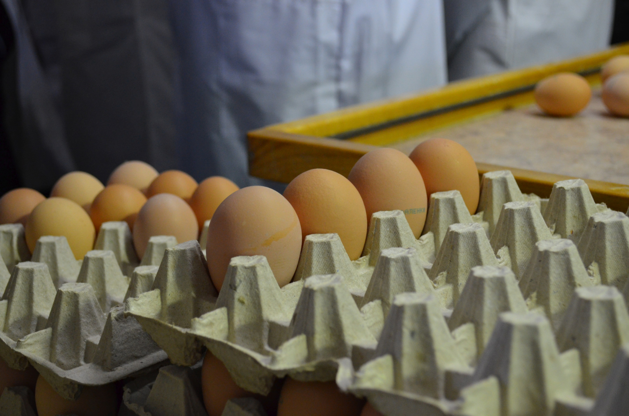 В Саранске перед Пасхой организуют дополнительные места для продажи яиц