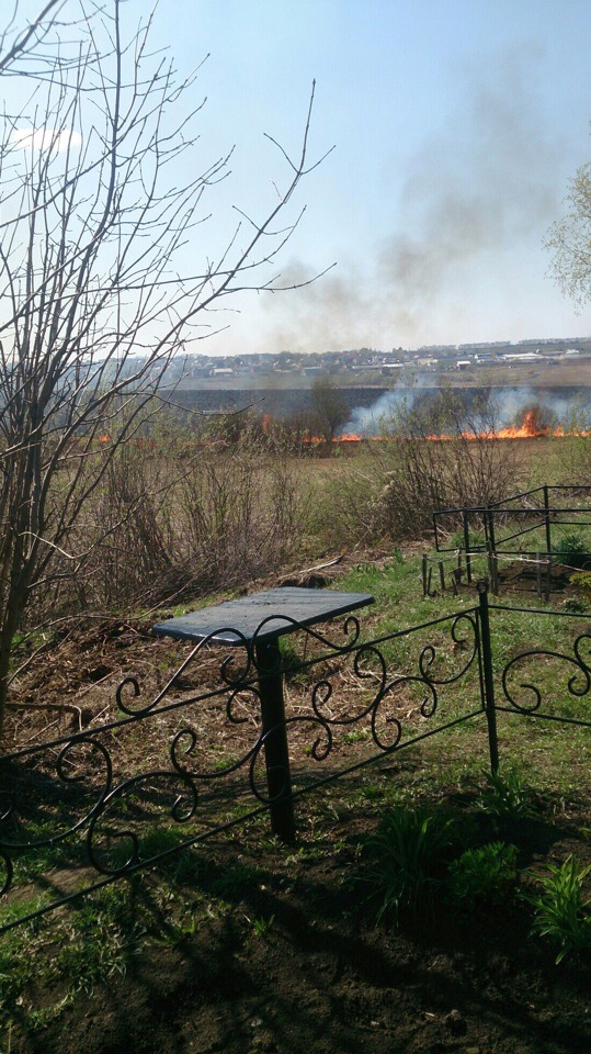Пожар на кладбище в Саранске: вспыхнула сухая трава