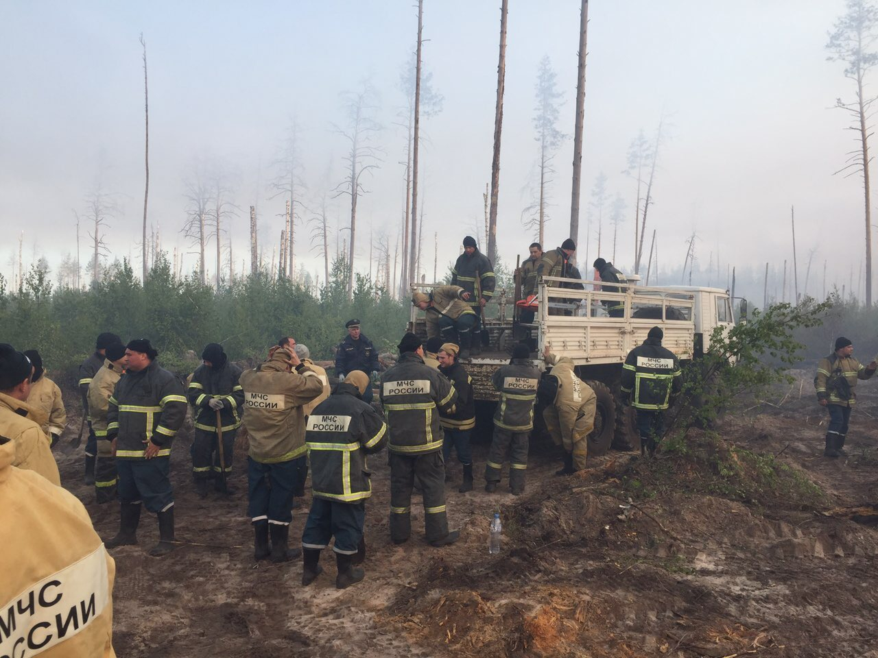 МЧС Мордовии: борьба с пожаром в заповеднике продолжается