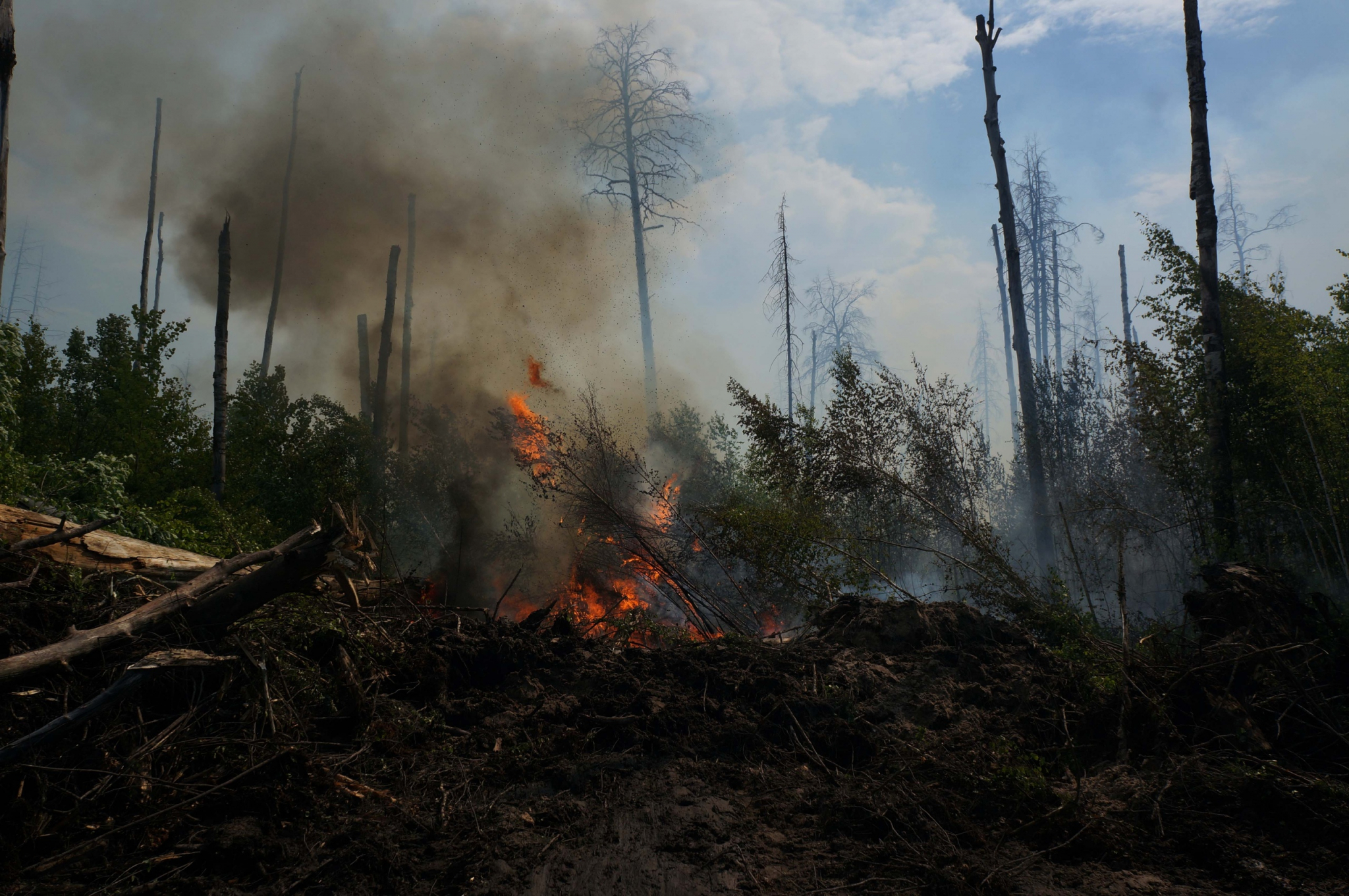 Крупный пожар в мордовском заповеднике ликвидирован