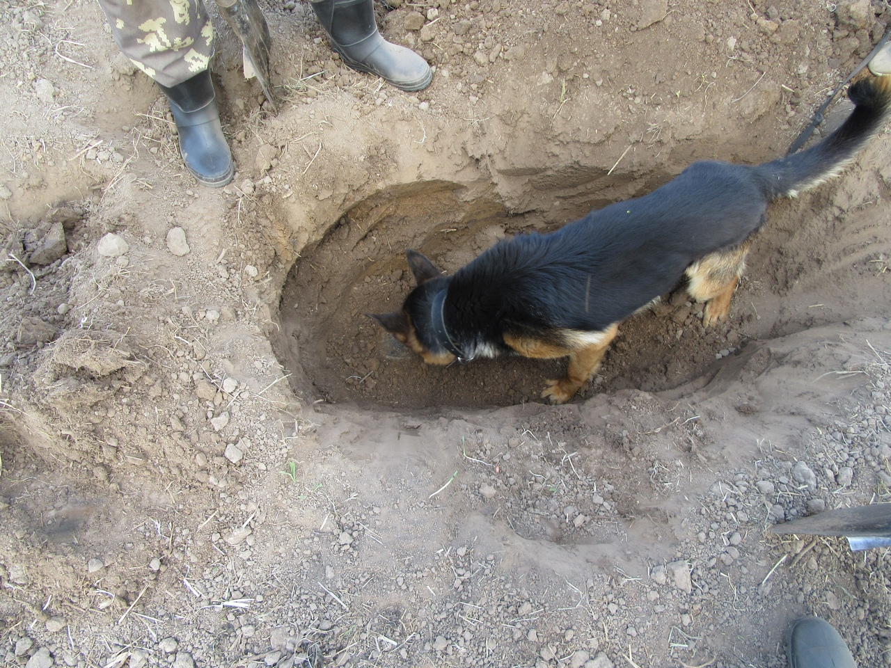 Зарезал и закопал в поле: арестован житель Мордовии, подозреваемый в убийстве мужчины (фото)