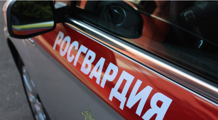 В Мордовии росгвардейцы устроили погоню за пьяным водителем