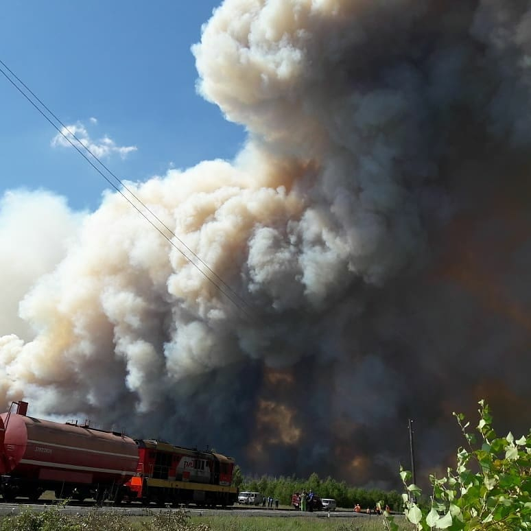 На границе Мордовии и Рязанской области вспыхнул сильный лесной пожар