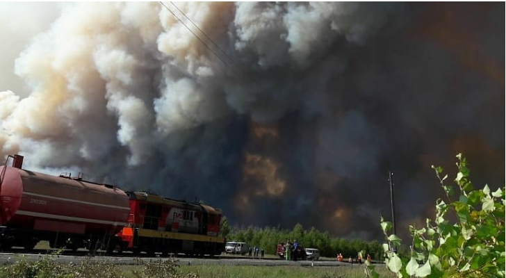 Крупный лесной пожар в Мордовии удалось локализовать