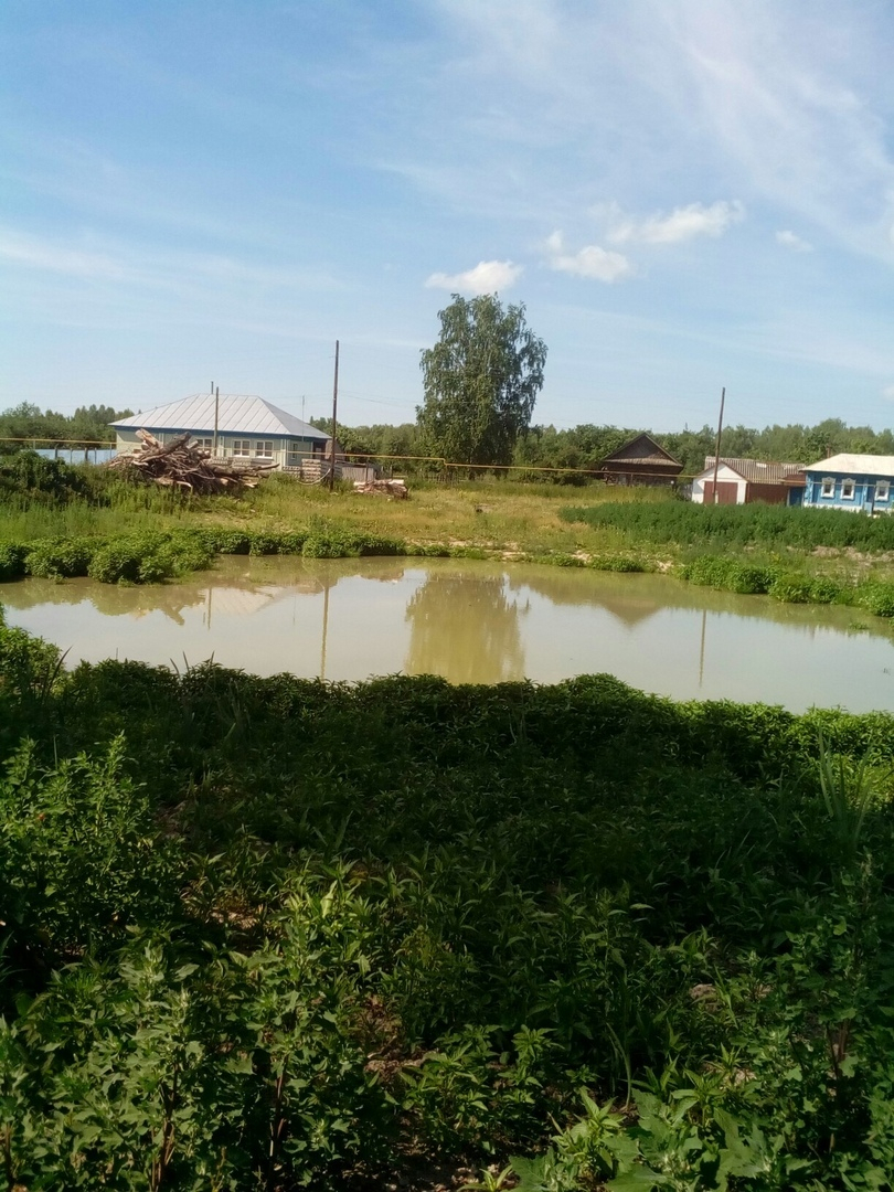 Житель Мордовии в одиночку приводит в порядок сельский пруд