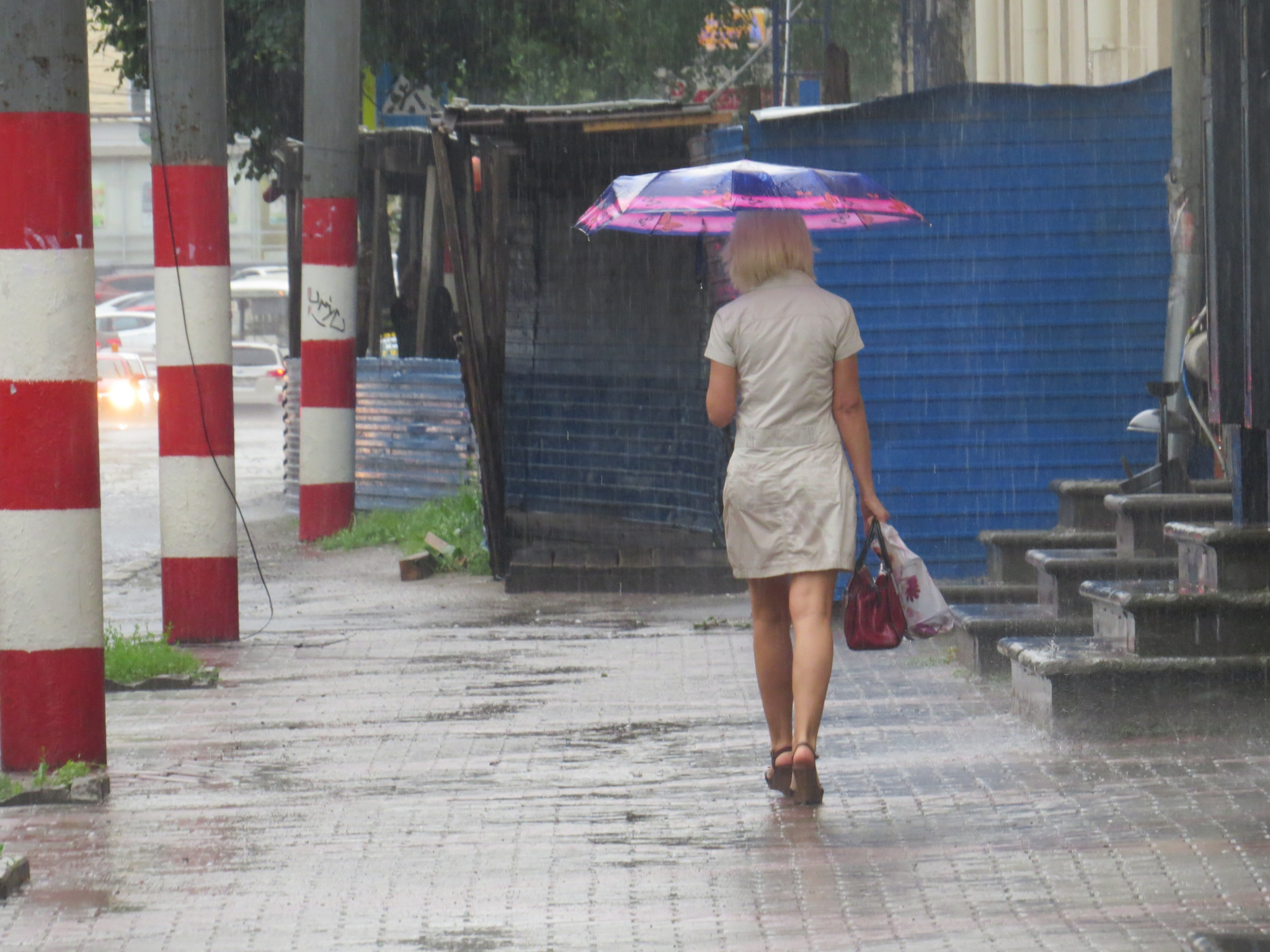 Гроза и дождь. Прогноз погоды в Саранске на 19 августа