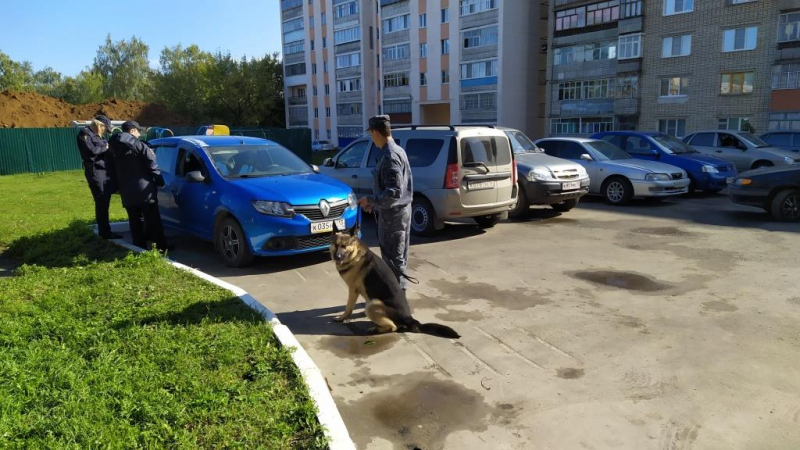 Задержан участник банды автоворов, от действий которой пострадали более 15 жителей Саранска