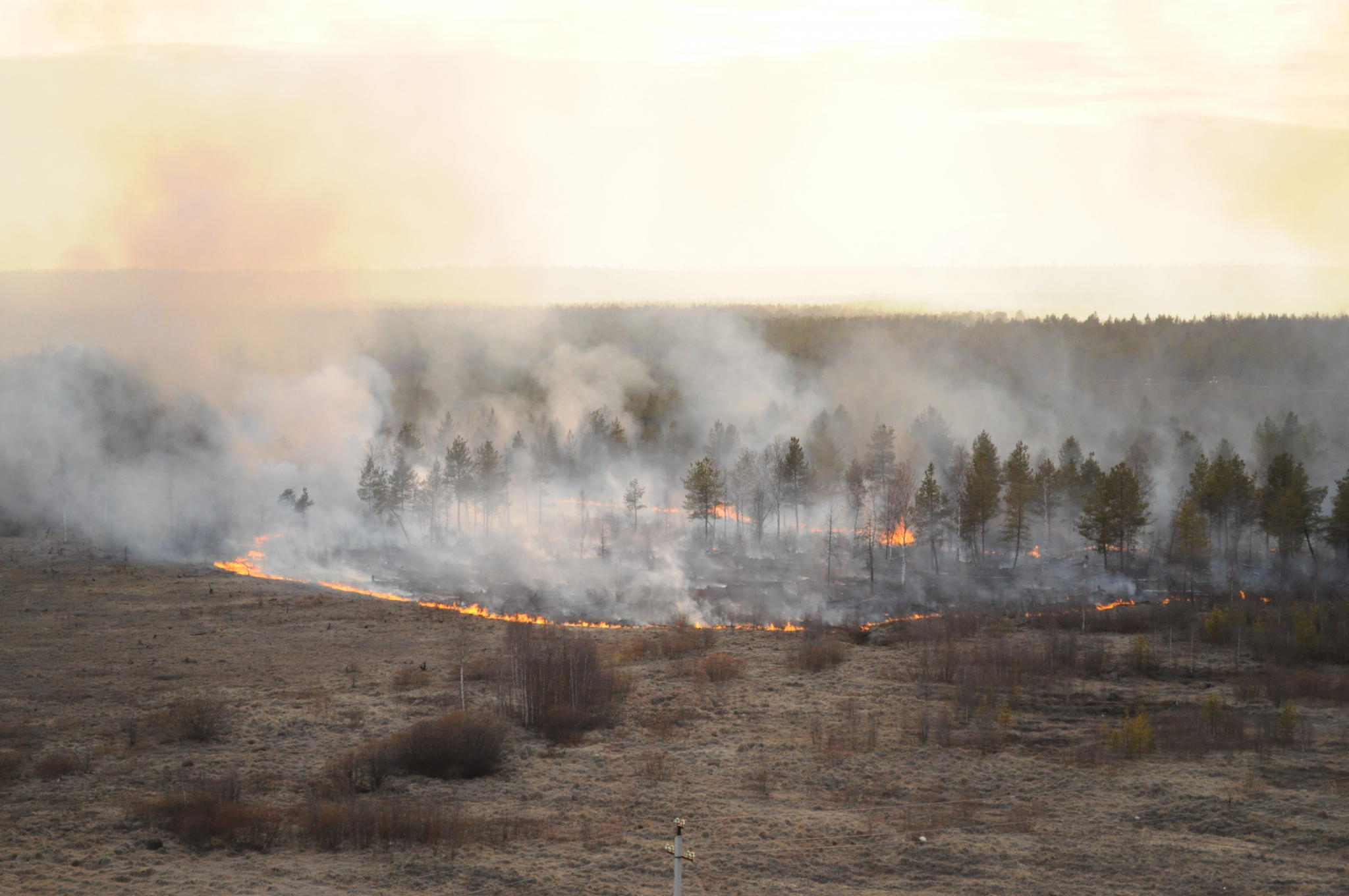 В Мордовии тушили лесной пожар на площади в 2,5 га