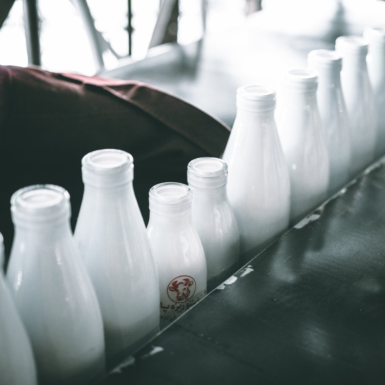 Уже в ноябре молоко и молочные продукты серьезно подорожают