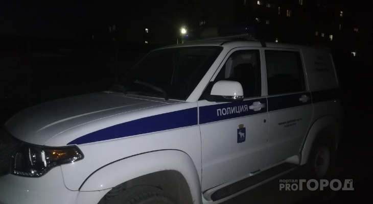 В Мордовии пьяный мужчина избил тростью собственную бабушку