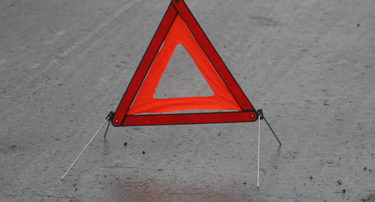 В Мордовии автомобиль слетел в кювет: два человека пострадали