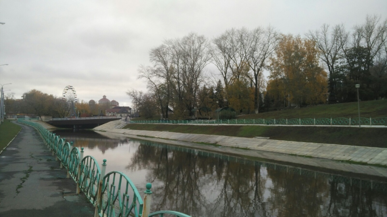 Штормовое предупреждение: на Мордовию вновь надвигаются сильные дожди и ветер