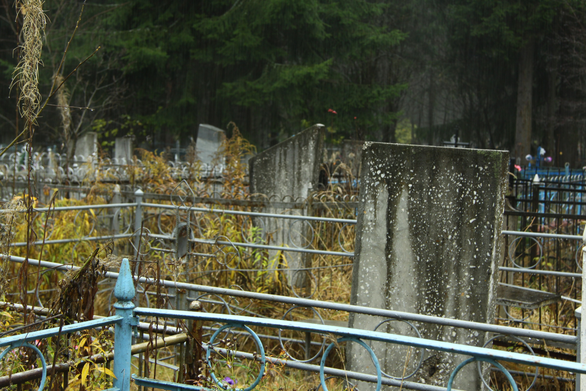 В Ленинградской области погиб уроженец Мордовии: тело нашли возле кладбища
