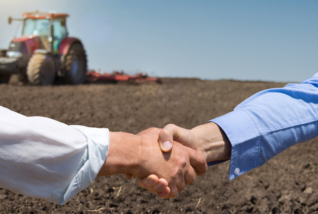 Россельхозбанк увеличил объем льготного кредитования АПК на 38%