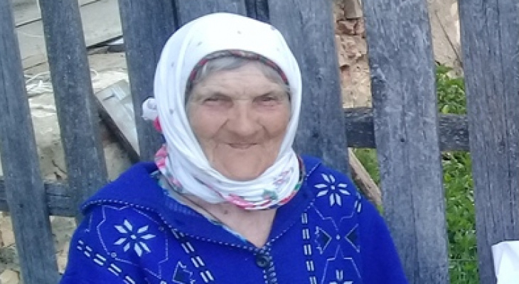 Волонтеры рассказали, как продвигаются поиски пропавшей в Мордовии пенсионерки