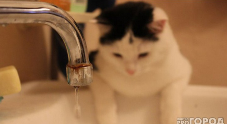 В Саранске прорвало трубопровод