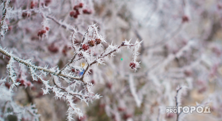 Морозно: Прогноз погоды в Саранске на 8 января