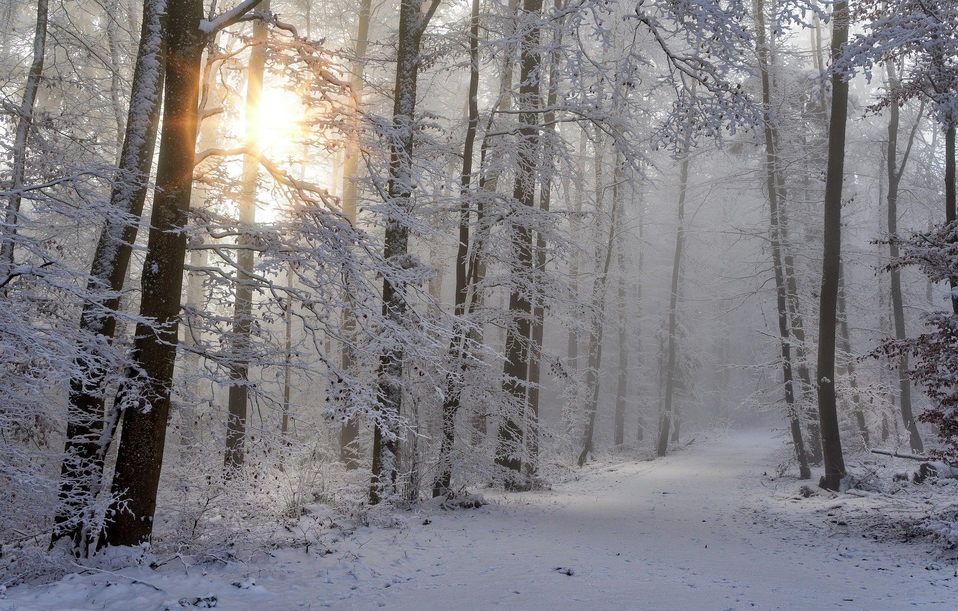 Накроет туман: прогноз погоды в Саранске на 18 января