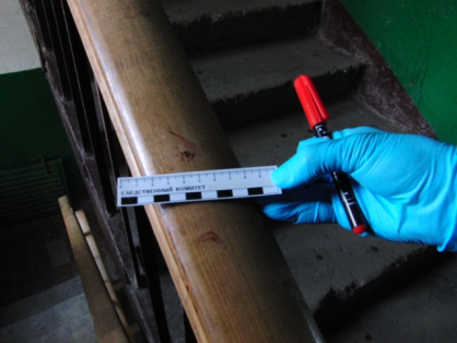 За убийство соседа житель Саранска отправится в колонию строгого режима