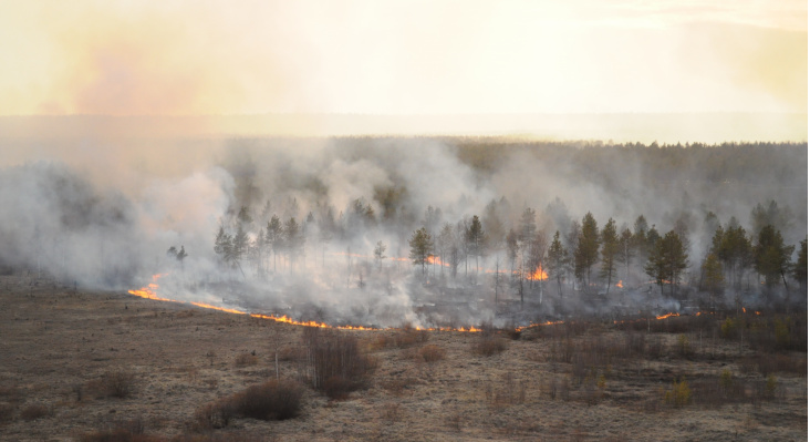 Мордовия оказалась в зоне риска раннего наступления пожароопасного сезона