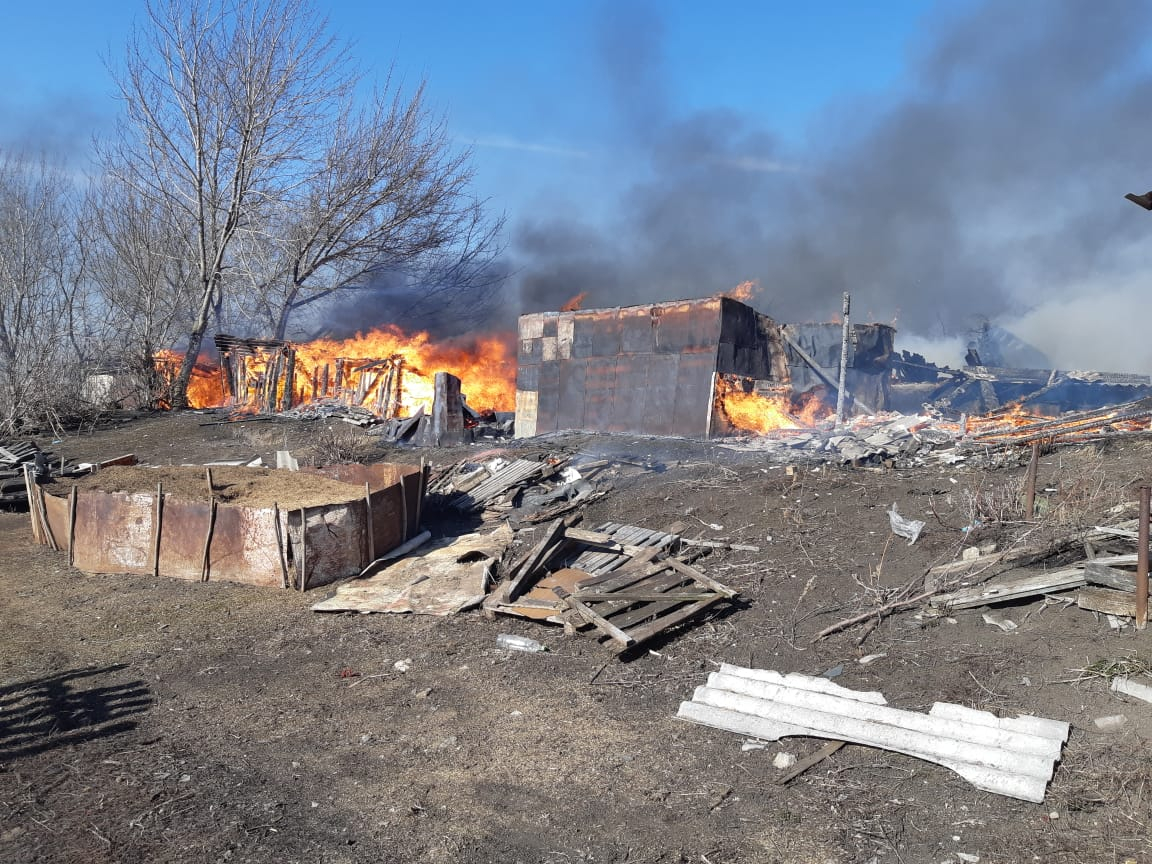 В Мордовии из-за пала травы горят сараи и заброшенные дома