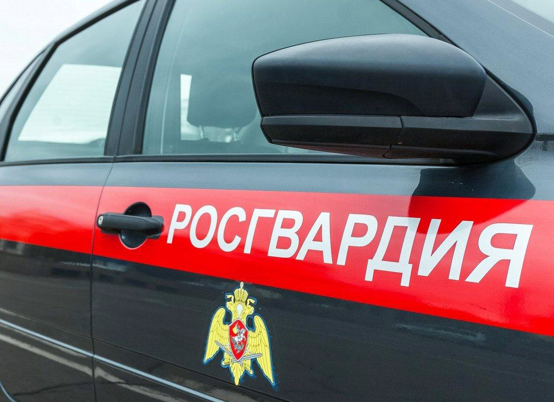 Росгвардейцы не дали молодому жителю Саранска вынести алкоголь из гипермаркета