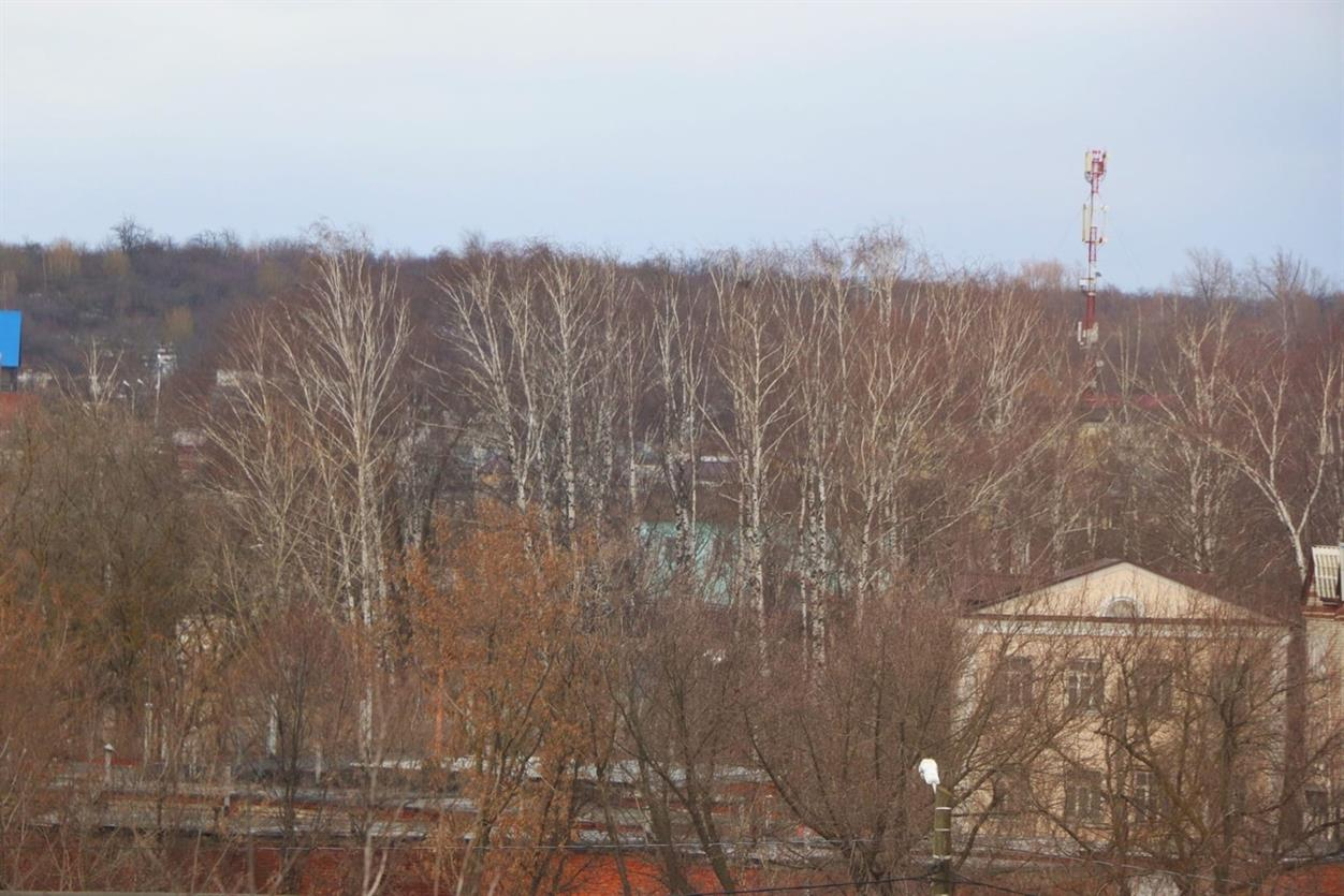 В Мордовии объявлено оперативное предупреждение