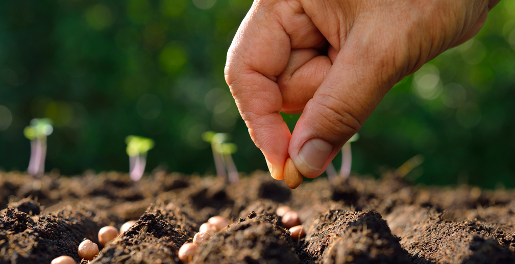 РСХБ подвел итоги использования специального кредитного продукта для субъектов МСБ «Микро АПК»