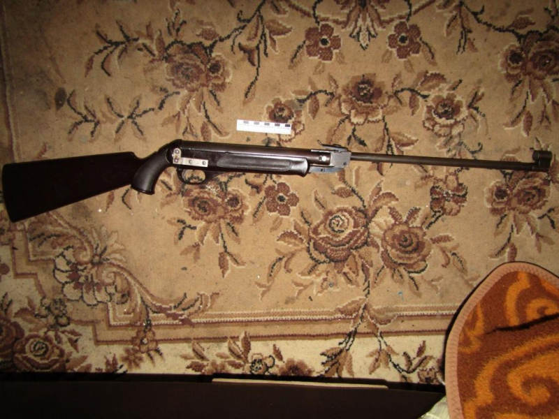 Житель Мордовии выстрелил собутыльнику в глаз из пневматики