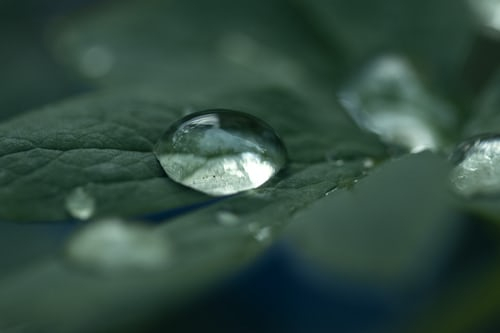 Синоптики рассказали, какая погода будет в Саранске 11 мая